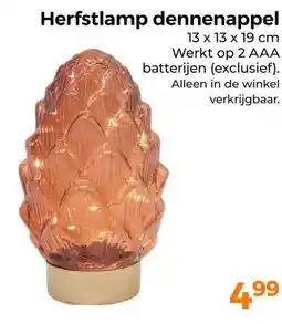 Trekpleister Herfstlamp dennenappel aanbieding