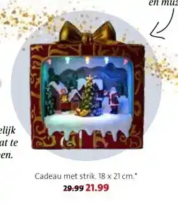 Intratuin Cadeau met strik aanbieding