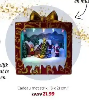 Intratuin Cadeau met strik aanbieding