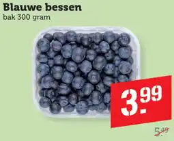 Dagwinkel Blauwe bessen aanbieding