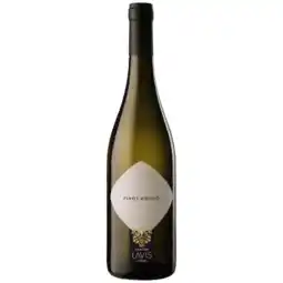 Albert Heijn Lavis Pinot Grigio aanbieding