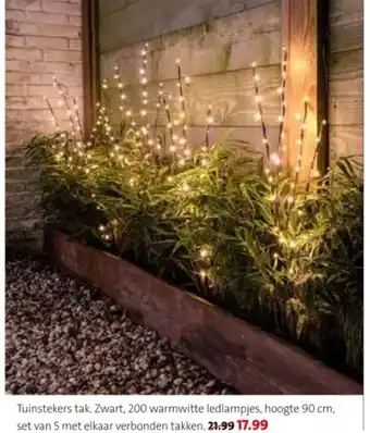 Intratuin Tuinstekers tak aanbieding