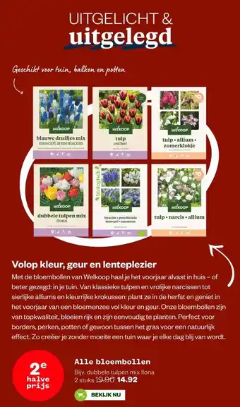Welkoop Alle bloembollen aanbieding