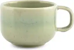 Intratuin SP Collection kop Blush groen 220 ml aanbieding