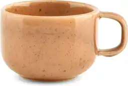 Intratuin SP Collection kop Blush oranje 220 ml aanbieding