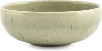 Intratuin SP Collection kom Blush groen D 12 H 4,2 cm aanbieding