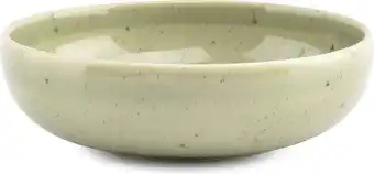 Intratuin SP Collection kom Blush groen D 15,5 H 4,5 cm aanbieding