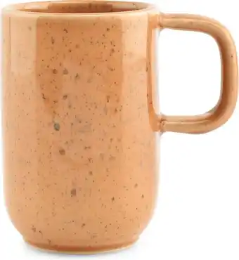 Intratuin SP Collection mok Blush oranje 300 ml aanbieding