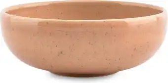 Intratuin SP Collection kom Blush oranje D 12 H 4,2 cm aanbieding