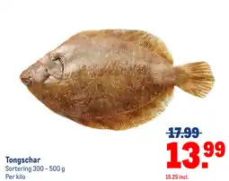 Makro Tongschar aanbieding