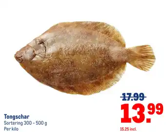Makro Tongschar aanbieding