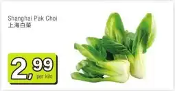 Amazing Oriëntal Shanghai Pak Choi 上海白菜 aanbieding