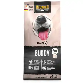 Zooplus 1kg Belcando Baseline Buddy droogvoer voor honden aanbieding