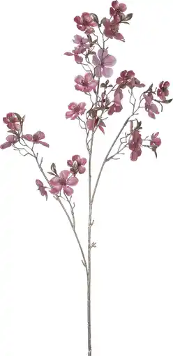 Intratuin Intratuin kerstbloem Perzikbloesem roze H 87 cm aanbieding