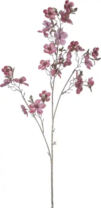 Intratuin Intratuin kerstbloem Perzikbloesem roze H 87 cm aanbieding