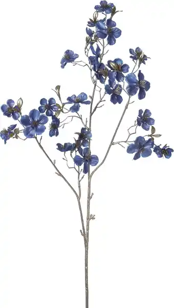 Intratuin Intratuin kerstbloem Perzikbloesem blauw H 87 cm aanbieding