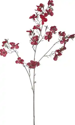 Intratuin Intratuin kerstbloem Perzikbloesem rood H 87 cm aanbieding