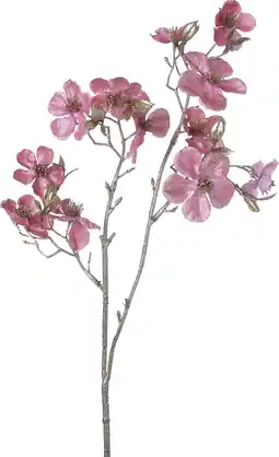 Intratuin Intratuin kerstbloem Perzikbloesem roze H 50 cm aanbieding