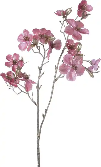 Intratuin Intratuin kerstbloem Perzikbloesem roze H 50 cm aanbieding