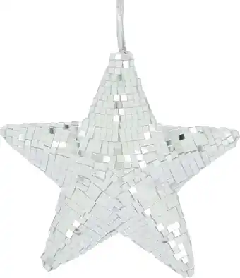 Intratuin Dijk Natural Collections kerstster zilver D 18 H 6 cm aanbieding