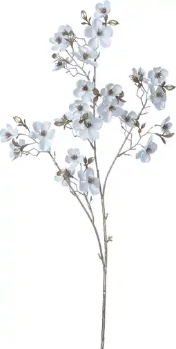 Intratuin Intratuin kerstbloem Perzikbloesem wit H 87 cm aanbieding