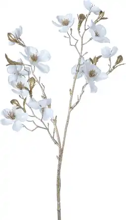 Intratuin Intratuin kerstbloem Perzikbloesem wit H 50 cm aanbieding