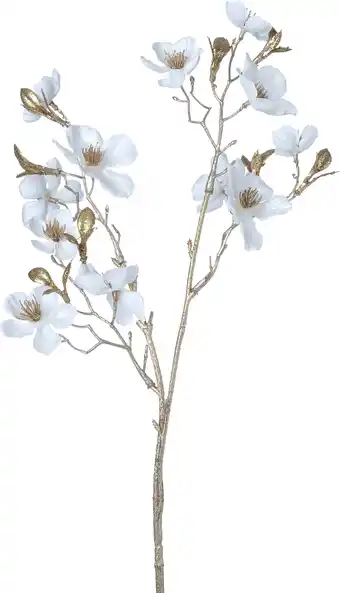 Intratuin Intratuin kerstbloem Perzikbloesem wit H 50 cm aanbieding