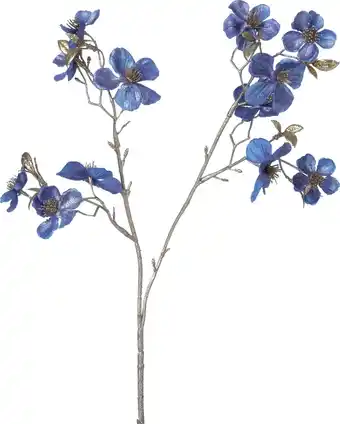 Intratuin Intratuin kerstbloem Perzikbloesem blauw H 50 cm aanbieding