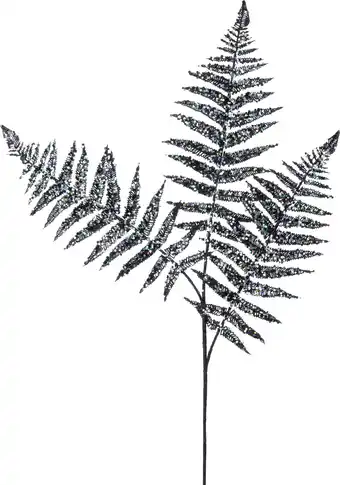 Intratuin Intratuin kersttak Bernt varen zwart 78 cm aanbieding