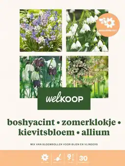 Welkoop Welkoop Hyacint Kievitsbloem Allium Biodiversiteit - Bloembollen - Gemengd - 30stuks aanbieding