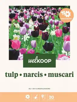 Welkoop Welkoop Tulp Narcis Blauwe druifjes Biodiversiteit - Bloembollen - Gemengd - 30stuks aanbieding
