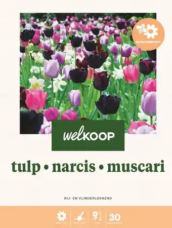 Welkoop Welkoop Tulp Narcis Blauwe druifjes Biodiversiteit - Bloembollen - Gemengd - 30stuks aanbieding