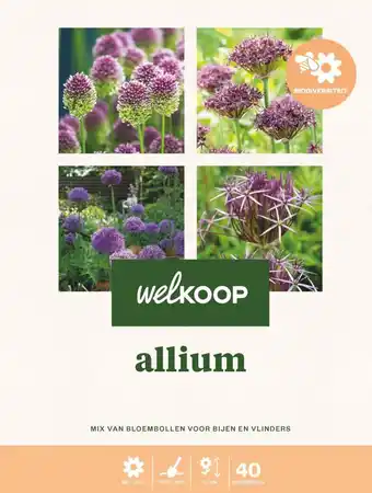 Welkoop Welkoop Allium Biodiversiteit - Bloembollen - Gemengd - 40stuks aanbieding