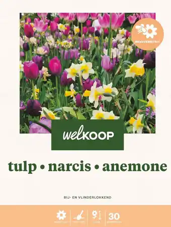 Welkoop Welkoop Tulp - Biodiversiteit - Bloembollen - Gemengd - 30stuks aanbieding