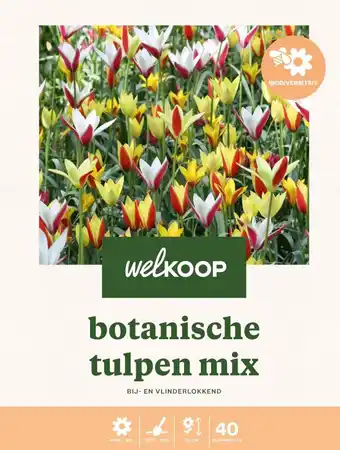 Welkoop Welkoop Tulp Biodiversiteit - Bloembollen - Gemengd - 40stuks aanbieding