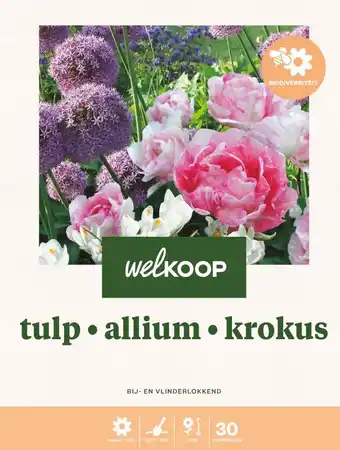 Welkoop Welkoop Tulp Allium Krokus Biodiversiteit - Bloembollen - Gemengd - 30stuks aanbieding