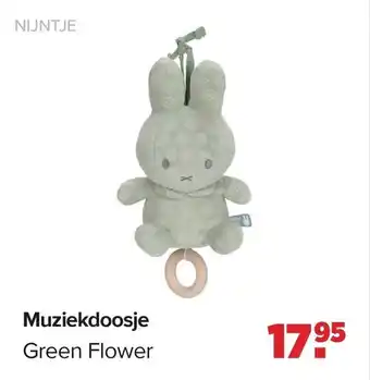 Baby-Dump Muziekdoosje aanbieding