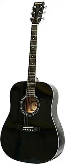 Bol.com Western Gitaar - Hoogglans Zwart aanbieding