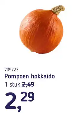 Van Hoeckel Pompoen hokkaido aanbieding