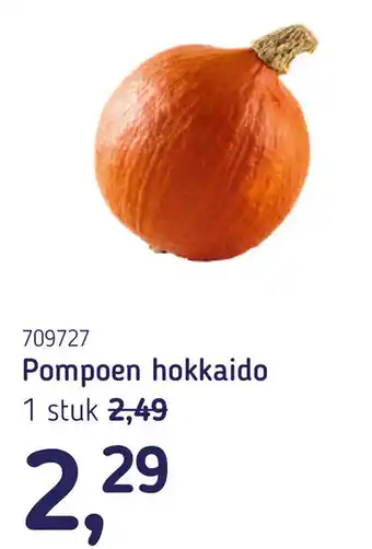 Van Hoeckel Pompoen hokkaido aanbieding