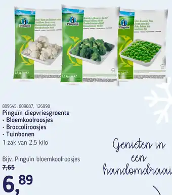 Van Hoeckel Pinguin diepvriesgroente aanbieding