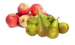 Budget Food Appels of Peren Royal Gala of Conference aanbieding