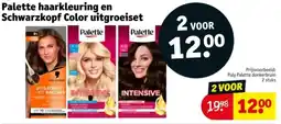Kruidvat Palette haarkleuring en Schwarzkopf Color uitgroeiset aanbieding