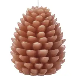 Albert Heijn AH Excellent Vormkaars dennenappel bruin aanbieding