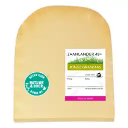 Albert Heijn AH Zaanlander Jong 48+ stuk aanbieding
