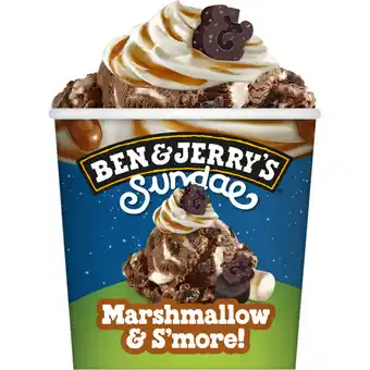 Albert Heijn Ben & Jerry's Marshmallow & s'more aanbieding