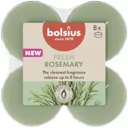 Albert Heijn Bolsius Maxilichten 8u true scents rozemarijn aanbieding