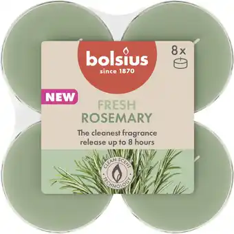 Albert Heijn Bolsius Maxilichten 8u true scents rozemarijn aanbieding