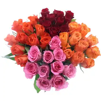 Albert Heijn AH Roos kort aanbieding