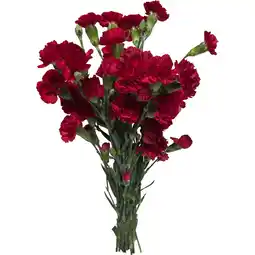 Albert Heijn AH Gemengde trosanjers aanbieding